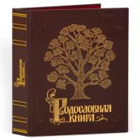 Родословная книга Изысканная эко-кожа с золотой росписью (подар.упак) РК-052 KNP-РК-052