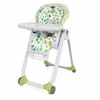 Стульчик для кормления Chicco Polly Progres5 Kiwi