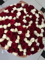 Красные и белые розы микс 101 шт, высота 60 см