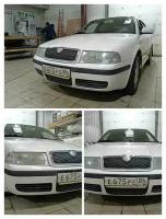 Утеплитель радиатора для Skoda Octavia A4 2000-2004 (комплект 2шт)