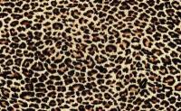 Фотообои "Леопард" на бумажной основе с бумажным покрытием. Арт.des-21