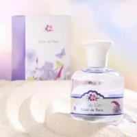 Туалетная вода женская Parfum de L`amour Eclair de Paris, 100 мл