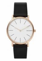 Skagen Leather SKW6430