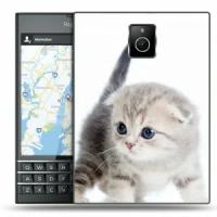 Дизайнерский пластиковый чехол для Blackberry Passport Котята