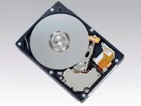 Для серверов Fujitsu Жесткий диск Fujitsu CA06458-B100 73,5Gb Fibre Channel 3,5" HDD