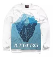 Свитшот Iceberg