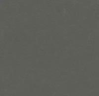 Мармолеум Forbo: Натуральный линолеум 3368 grey iron (Forbo Marmoleum Walton)