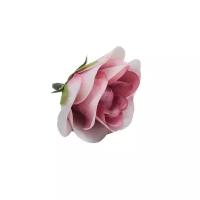 Цветы розы Розовые