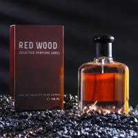 TODAY PARFUM Туалетная вода мужская Colour ssncs Rd Wood, 100 мл (по мотивам 212 VIP Men (Carolina Herrera)