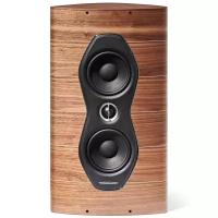 Настенная акустика Sonus Faber Olympica Nova Wall walnut