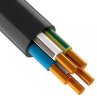 Дори кабель силовой ВВГ-Пнг-LS 5х10мм (1м) ГОСТ / DORI кабель силовой ВВГ-Пнг-LS 5х10 кв.мм (1м) ГОСТ