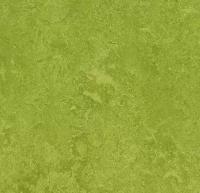 Мармолеум Forbo: Натуральный линолеум 3247 green (Forbo Marmoleum Fresco)