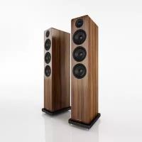 Напольная акустика Acoustic Energy AE120 Walnut