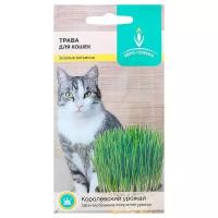 Семена Трава для кошек, 10 г