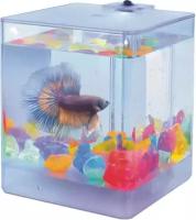 Аквариум AA-Aquariums Aqua Box Betta для рыб петушков, пластиковый (1,3 л)