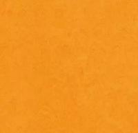Мармолеум Forbo: Натуральный линолеум 3262 marigold (Forbo Marmoleum Fresco)
