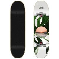 Скейтборд ALOIKI COAST COMPLETE SKATEBOARD SS21