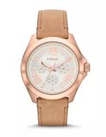 Наручные часы Fossil AM4532