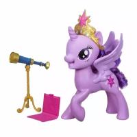 Фигурка Hasbro My Little Pony Разговор о дружбе