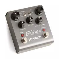 Strymon El Capistan dTape Delay Студийные процессоры эффектов