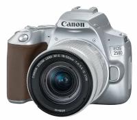 Зеркальный фотоаппарат Canon EOS 250D Kit 18-55 IS STM, серебристый