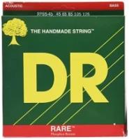 45-125 DR Rare RPB5-45 Acoustic Bass