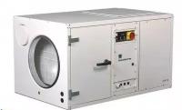 Осушитель воздуха Dantherm CDP 165 для бассейнов