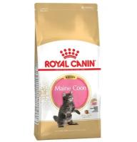 Royal Canin Breed cat Kitten Maine Coon