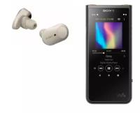 Наушники и плеер Sony Walkman NW-ZX507 black + WF-1000XM3 silver