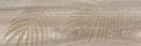 Керамогранитная плитка Lasselsberger Шэдоу (200х600) декор, бежевая 6264-0006 (кв.м.)