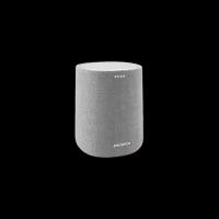 Динамик Harman Kardon Портативная акустическая система Harman/Kardon Citation One MKII Grey