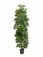 Искусственное дерево TREEZ COLLECTION Шеффлера коллонновидная пестрая 180 см цвет: Зеленый