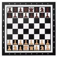 Настенная игра шахматы на магнитной доске поле 60х60см 32 фигуры в наборе, 1724803