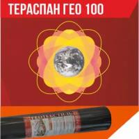 Геотекстиль ТЕРАСПАН ГЕО 100