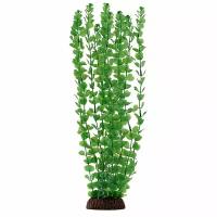 Растение 4673 "Бакопа" зеленая, 400мм