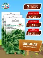 Семена Шпинат Жирнолистный Среднеспелые 2 гр. х 3 шт