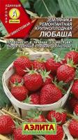 Земляника ремонтантная крупноплодная Любаша Аэлита