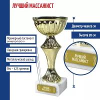 Подарки Статуэтка Кубок "Лучший массажист" (20 см)