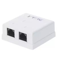 Розетка TWT (TWT-SM2-4545-WH) настенная 2 порта RJ-45 категории 5е. UTP. белая