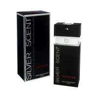 Jacques Bogart Silver Scent Intense туалетная вода 100 мл для мужчин