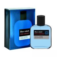 Delta PARFUM Туалетная вода мужская Pro-Energy Blue Cobalt, 100 мл