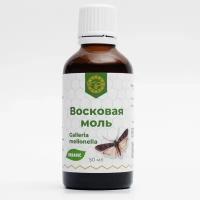 Восковая Моль 20% (Экстракт, 50 Мл)