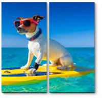 Модульная картина Picsis Собака - серфингист в модных очках (40x40)