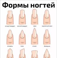 Формы ногтей для маникюра — косметологический плакат
