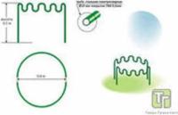 Заборчик Газонный-клумба Волна