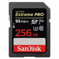 Карта памяти SanDisk 256GB SDSDXXY-256G-GN4IN