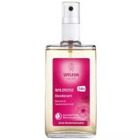 Weleda Розовый дезодорант (Wildrose)8808 100 мл