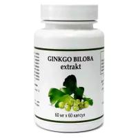 "Гинкго Билоба" экстракт (Ginkgo Biloba Extrakt), флавоноиды 24%