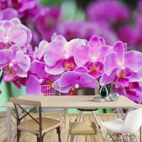 Фотообои Сиреневые орхидеи 275x413 (ВхШ), бесшовные, флизелиновые, MasterFresok арт 4-009