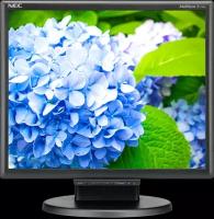 Монитор NEC 17" E172M-BK 1280x1024 TN WLED 76Гц 5ms VGA HDMI DisplayPort